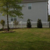 Photo Thumbnail #6: Back line is some holly's and wax myrtle's
