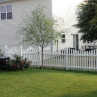 Photo Thumbnail #5: Weeping willow, some roses and the stupid AC...