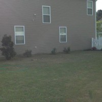 Photo Thumbnail #3: Southern magnolia and some azalea bushes