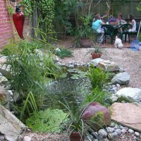 Photo Thumbnail #2: The original fish pond.