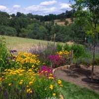 Photo Thumbnail #1: getting ready to put the lawn in