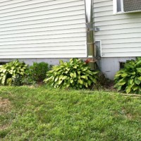 Photo Thumbnail #6: Left side garden is filled with hosta.  My plan...