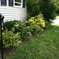 Photo Thumbnail #7: Front of the house is filled with young shrubs....