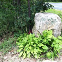 Photo Thumbnail #5: We moved large stones to each side of the end...