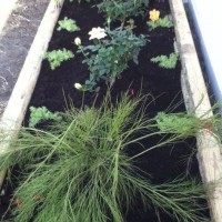 Photo Thumbnail #19: Another view of one of the wooden planters. And...