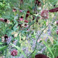 Photo Thumbnail #4: Heron Sculpture with Coneflowers - To see more,...