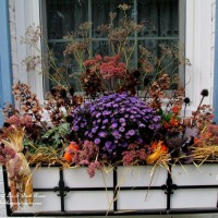 Photo Thumbnail #17: Our Fairfield Home & Garden's Fall Window Box...