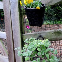 Photo Thumbnail #15: Our Fairfield Home & Garden's Country Cottage...