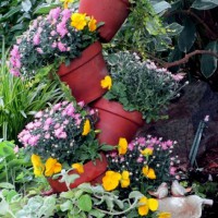 Photo Thumbnail #14: Our Fairfield Home & Garden's tipsy-pots...