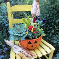 Photo Thumbnail #16: Our Fairfield Home & Garden's autumn chair &...