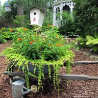 Photo Thumbnail #3: Wheelbarrow Repurposed into Planter with...