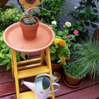 Photo Thumbnail #9: Repurposed Ladder and Potting Materials Used as...