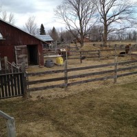 Photo Thumbnail #3: Looking North from the backyard you can see...