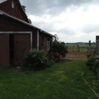 Photo Thumbnail #7: North side of house showing barn and gate to...