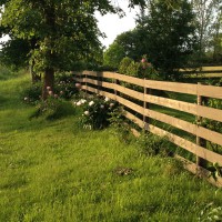 Photo Thumbnail #1: North side of the yard from road without a lot...