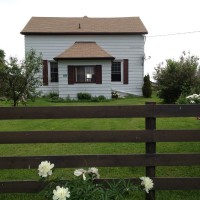 Photo Thumbnail #2: There are peonies planted along the fence.