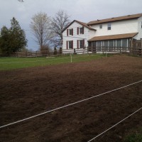 Photo Thumbnail #6: Looking towards south side of house. If that...