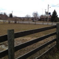 Photo Thumbnail #3: This is the field facing the road that I could...