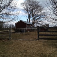 Photo Thumbnail #1: Standing in side yard facing entrance to...