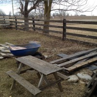 Photo Thumbnail #4: Recent graves of two of my dogs....one from...