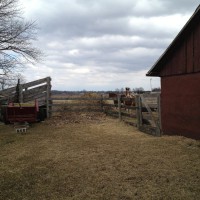 Photo Thumbnail #7: Other side of pet cemetary is another gate to...