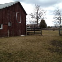 Photo Thumbnail #5: Looking towards yard surrounding house and side...