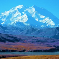 Photo Thumbnail #11: Denali ..Tundra in bloom in the sun