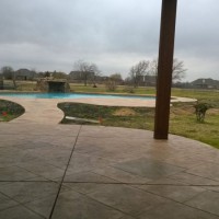 Photo Thumbnail #11