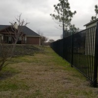 Photo Thumbnail #6