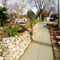 Photo Thumbnail #26: This is springtime and it's hard to tell but I...