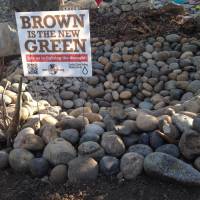 Photo Thumbnail #22: Another view of the rain garden.
