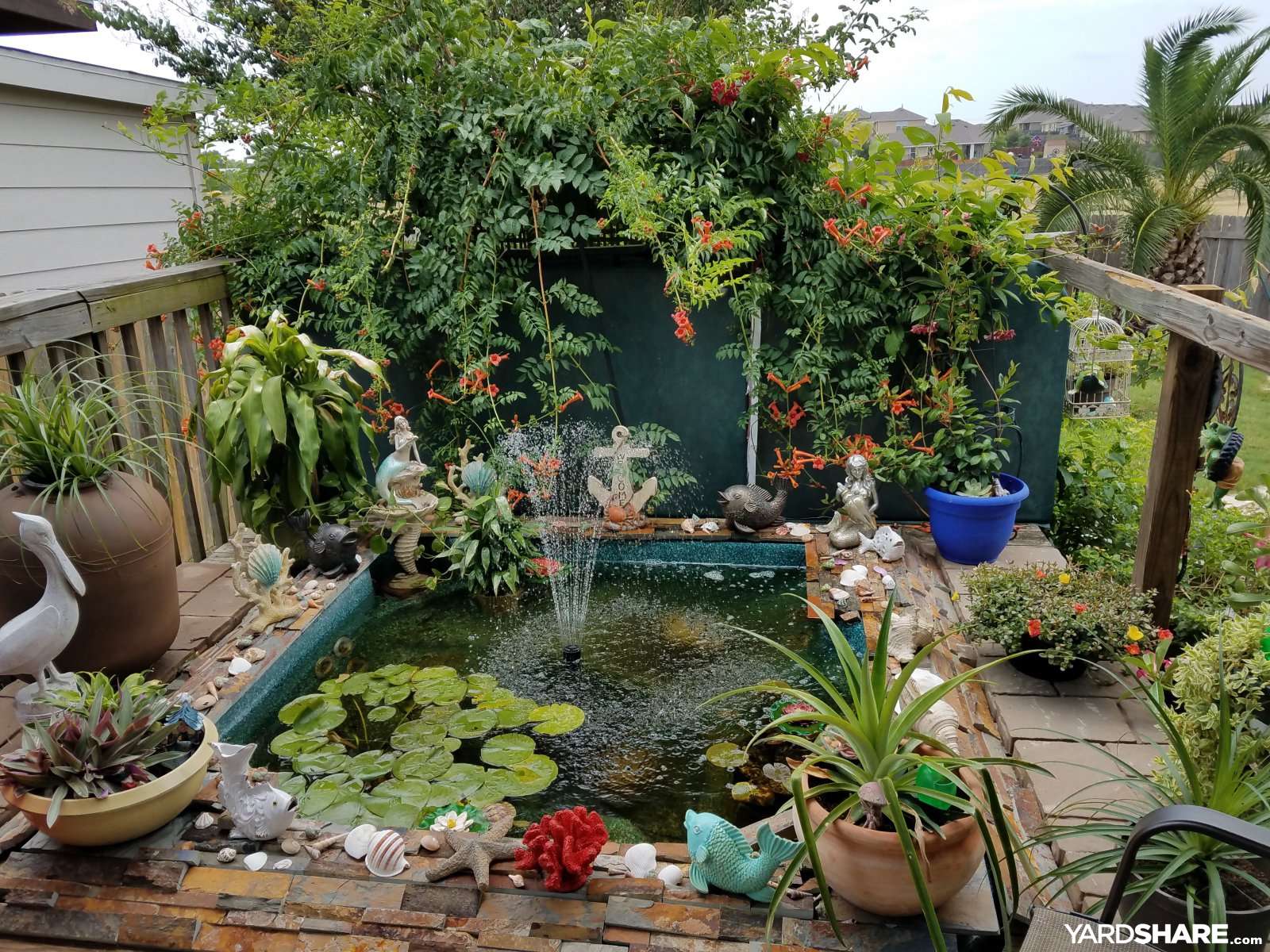 We have a hot tub turned into a pond. Great addition to my