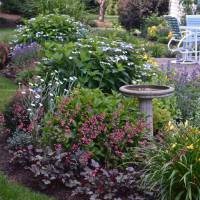 Photo Thumbnail #4: A corner of the patio garden