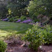 Photo Thumbnail #5: Another view of the hill garden from the south