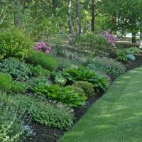 Photo Thumbnail #7: A lower portion of hill garden in May