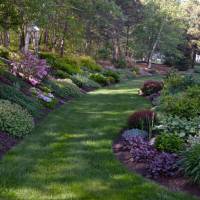 Photo Thumbnail #8: The hill and patio gardens at the end of May...