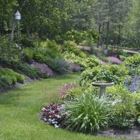 Photo Thumbnail #3: Hill and patio gardens in late spring with...