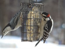 DSC00067_1 DSC00067_1