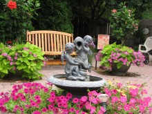 IMG_0736_1 IMG_0736_1