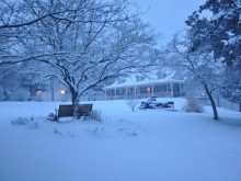 snow snow
