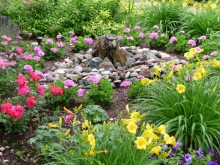 Warm and Cool Color Flower Combinations Warm and Cool Color Flower Combinations