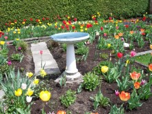 design a garden Design a Garden