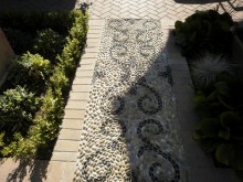 pathway pathway
