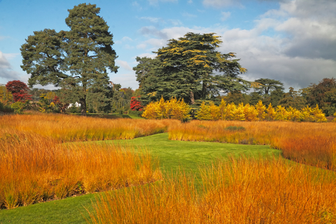 Grasses eliminate much grass cutting