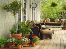potted plants on the front porch potted plants on the front porch