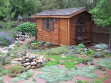 Dream Shed Dream Shed