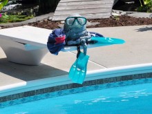 Pool Critters Pool Critters