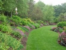 A Guide to Composting A Guide to Composting