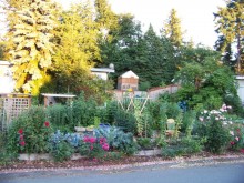 Kitchen Garden Kitchen Garden