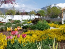 Gardening For Seniors Gardening For Seniors